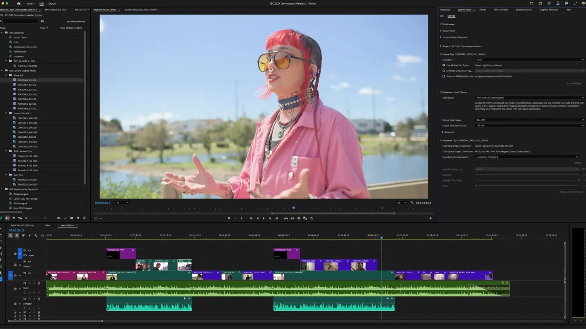 premiere pro vs davinci resolve