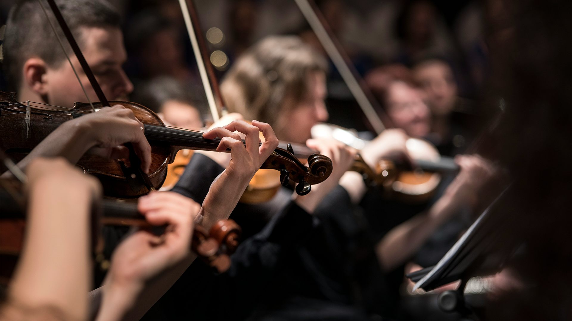 Close up of violinists creating royalty free classical music for youtube